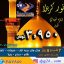تور کربلا ویژه شب های غدر